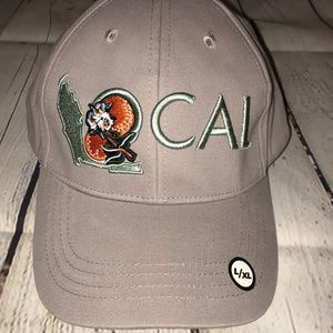 Local hat gray L/XL curved brim